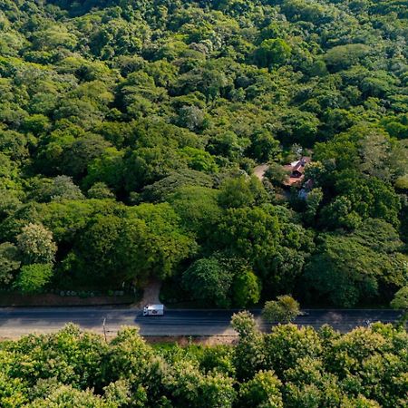 Cabinas La Fulanita Lejlighedshotel Nicoya Eksteriør billede