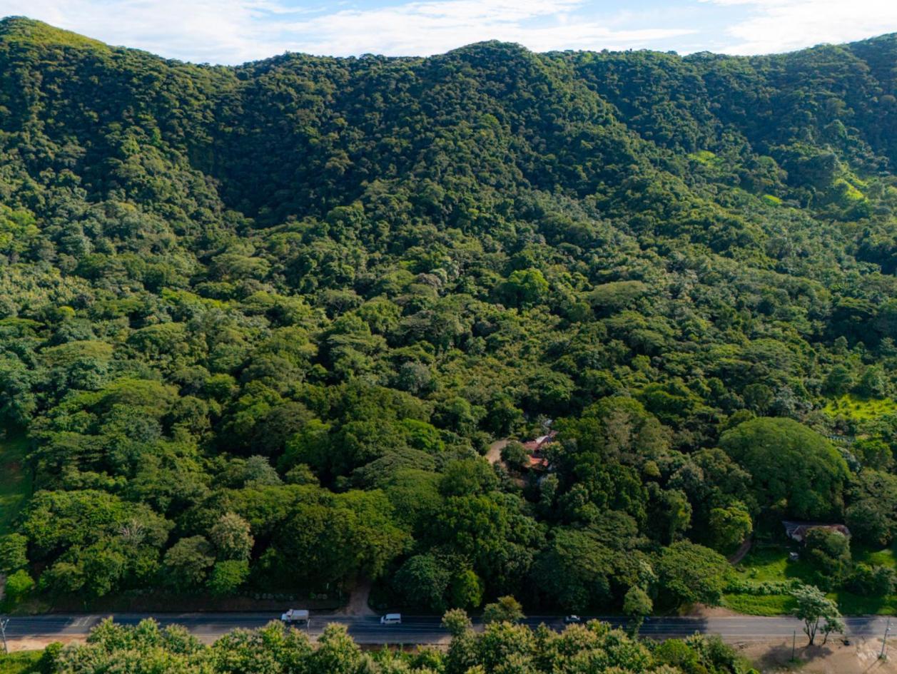 Cabinas La Fulanita Lejlighedshotel Nicoya Eksteriør billede